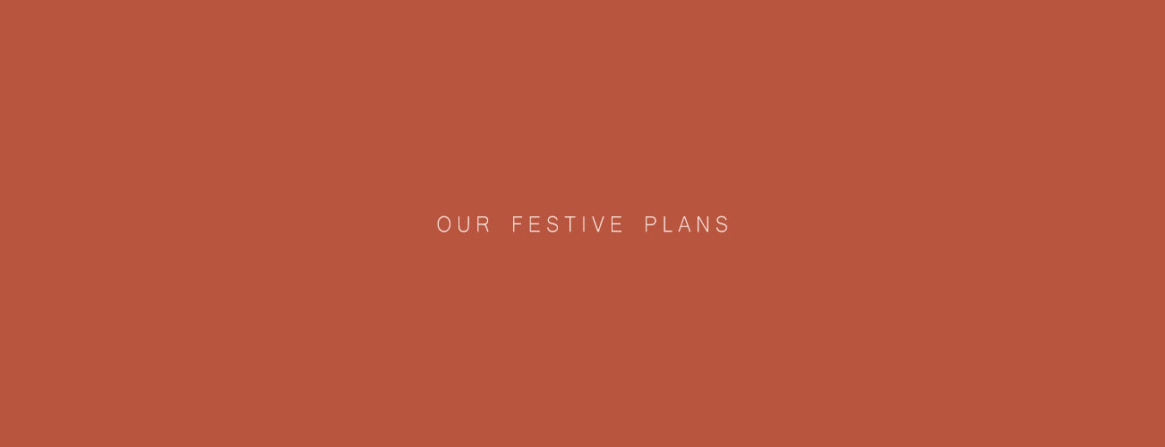 Our Festive Plans!
