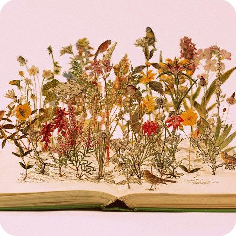 Get Inspired: A La Bookishly