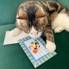 Cats and Books Postcard Set | Pack of Six