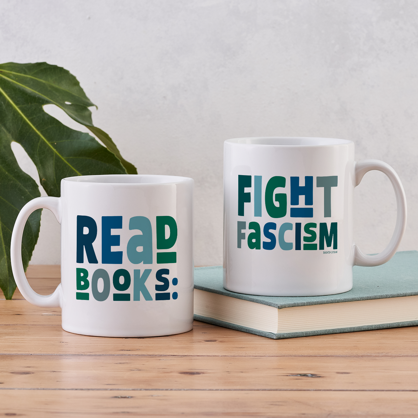 read books fight fascism mug book lover gift reading coffee mug