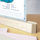 Pack Of Twelve Literary Postcards - Author Set