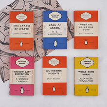 vintage book library bundle of penguin books